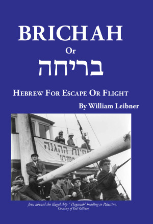 Cover: Brichah or בריחה