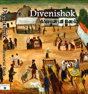 Cover: Devenishki Book: Memorial for a Village