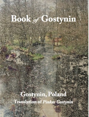 Cover: Book of Gostynin, Poland