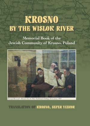 Cover: Krosno by the Wislok River