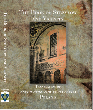 Cover: The Book of Strzyzow and Vicinity
